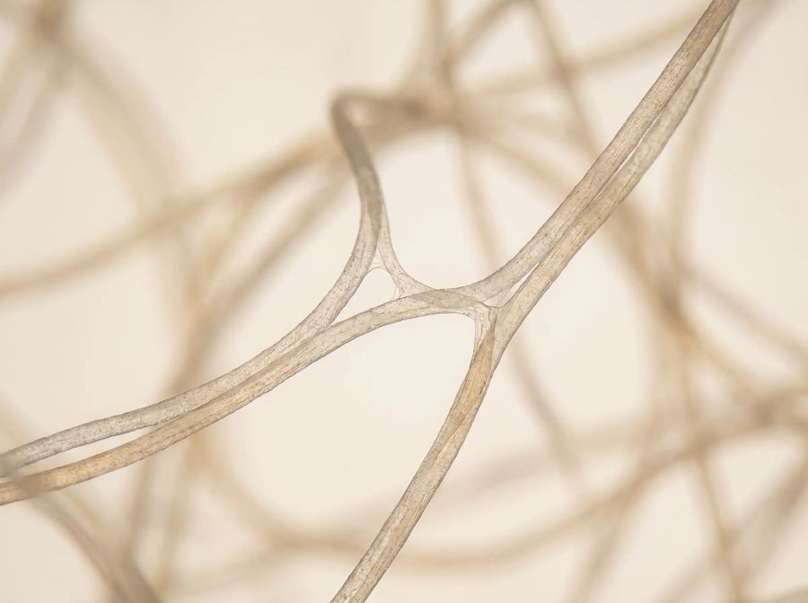 Resistant Maltodextrin