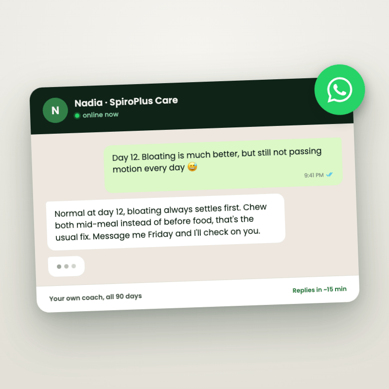 WhatsApp Gut Coach - SpiroPlus